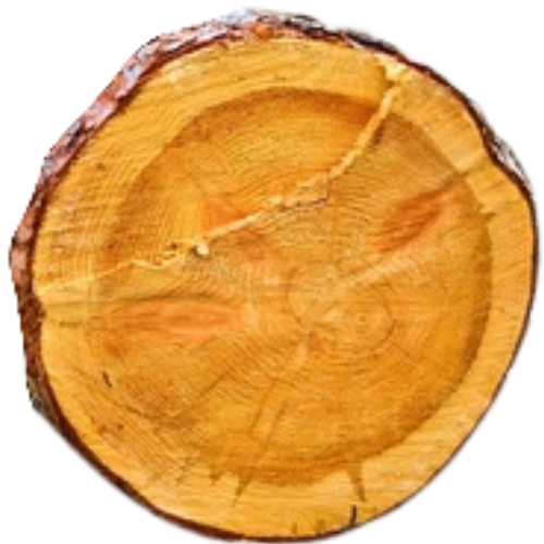 Walnut Wood